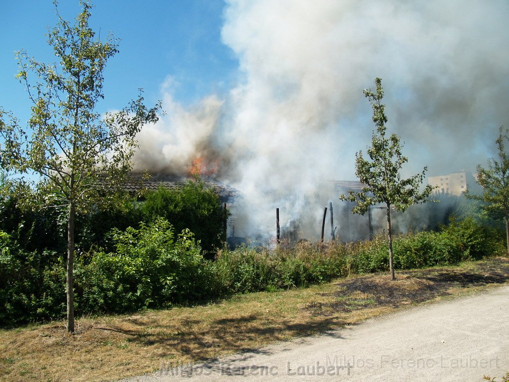 Gartenlaube in Vollbrand Koeln Poll Im Gremberger Waeldchen P019.JPG